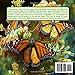A Monarch's Story: A Marigold Mountain Adventure (Adventures at Marigold Mountain)