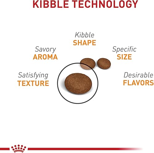 Miniatura 3 de Royal Canin Cuidado del cabello y la piel Alimento seco para gatos, bolsa de 7 libras