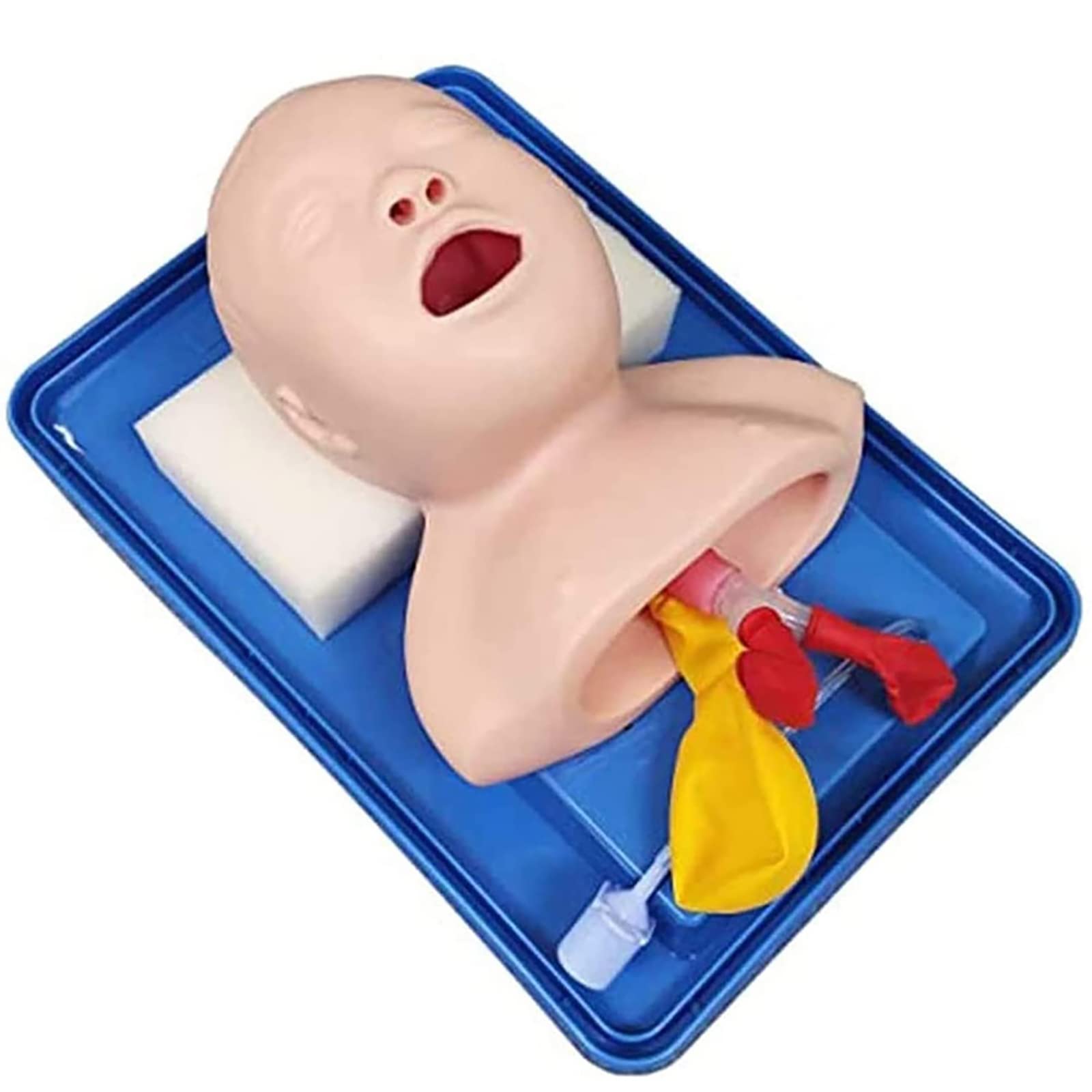Neonatal Tracheal Intubation Model, Analog Double Lung And Stomach Expansion Model, Child Tracheal Intubation Training Model, for Science Classroom Study Display Teaching Medical Model