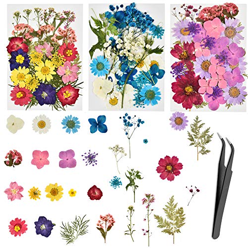 Dried flowers, 101 piece real dried pressed flowers leaves for re…