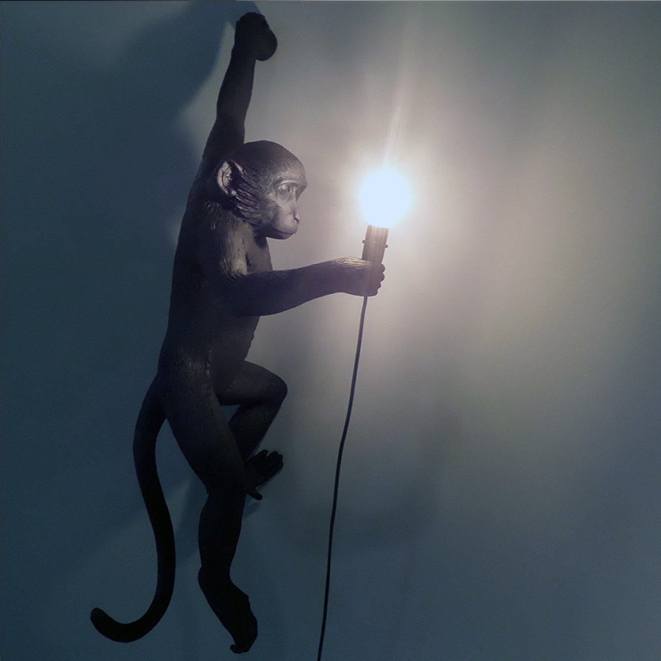 Amazon.co.jp: Seletti Monkey Lamp Hanging Monkey-shaped lamp