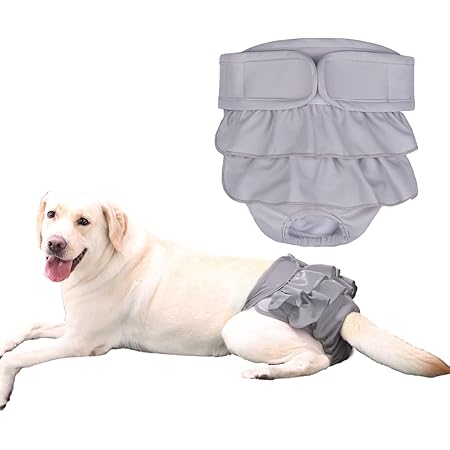 Amazon Kuveela Pet 犬用マナーパンツ 犬用 メス サニタリーパンツ 犬用パンツ 雌 犬用生理パンツ 犬用オムツカバー 女の子 メス 発情期用 通気性 吸水性良い 再利用可能 グレー L Kuveela 紙おむつ 通販 Amazon Kuveela Pet 犬用マナーパンツ 犬用 メス サニタリーパンツ 犬用パンツ 雌 犬用生理パンツ 犬用オムツカバー 女の子 メス 発情期用 通気性 吸水性良い 再利用可能 グレー L Kuveela 紙おむつ 通販