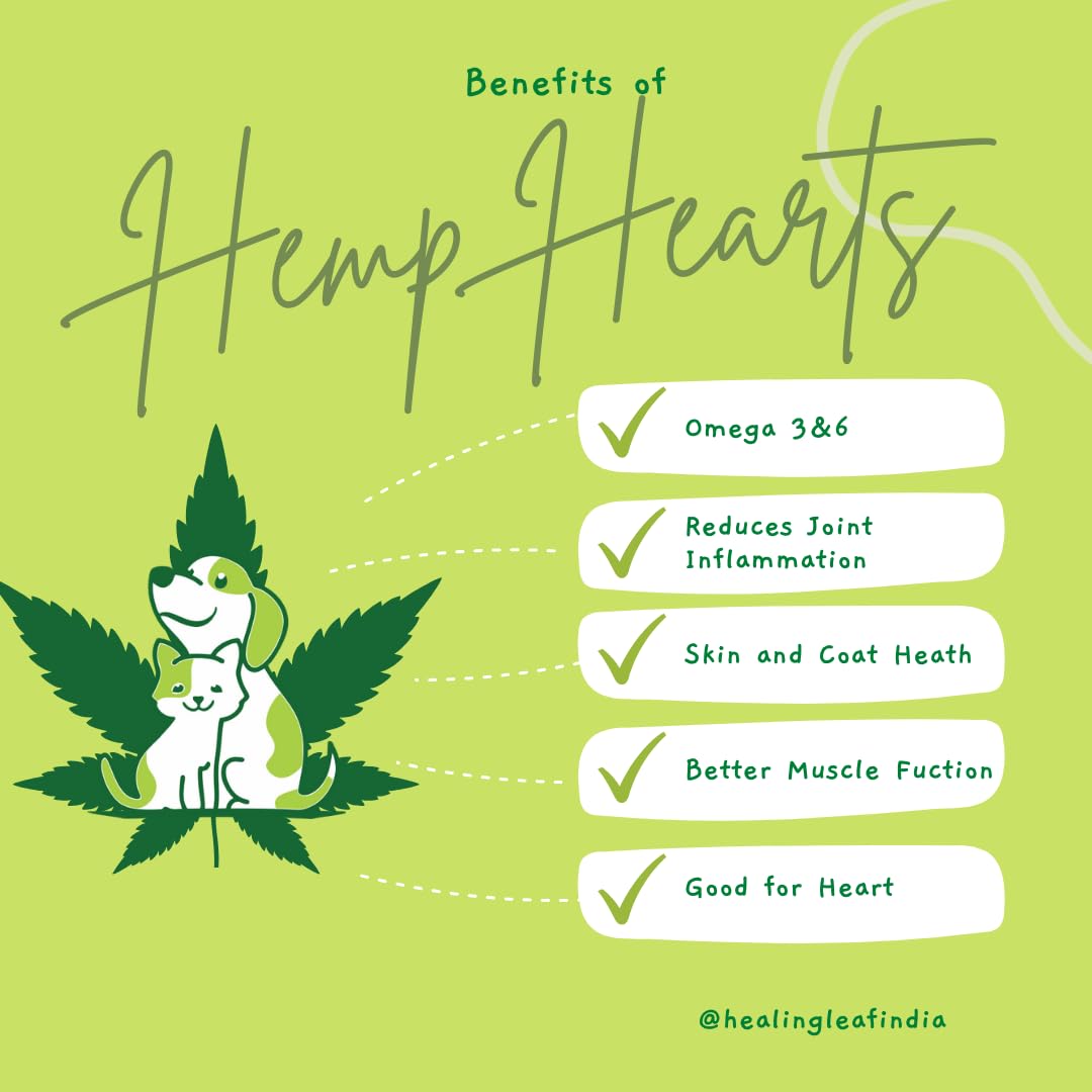 Healing Leaf Hemp Hearts for Dogs Calming Natural Anxiety Relief, 100g - Adult Small Puppy Calming Treats - Pet Stress Separation Relaxation 3