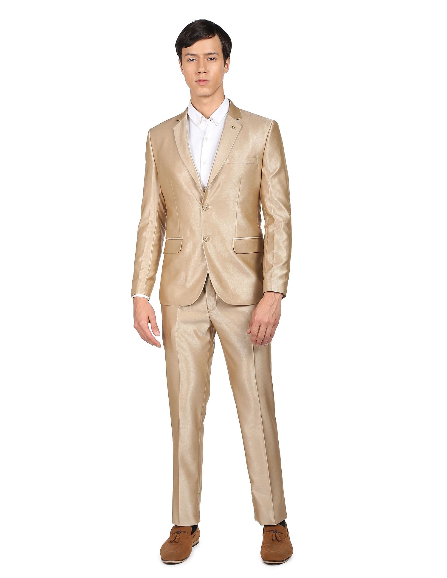 arvind Men Beige Single Breasted Oxford Two Piece Suit-picture-36