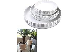 Essential Plant Pads for Healthy Houseplants