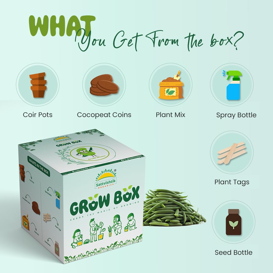 SATTVAMRIT Sattvishtik Grow Box Beans Vegetable Kit for Kids | Pack of 1 | Eco Friendly Gift for Kids | Beginner Gardeners | DIY | Easy Grow it Yourself Gardening Kit for Home & Garden 2