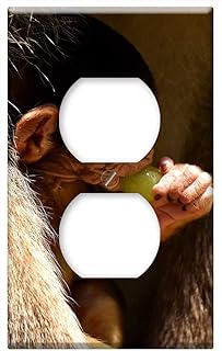 Switch Plate Outlet Cover - Ape Baby Monkey Grapes Curious Barbary Ape