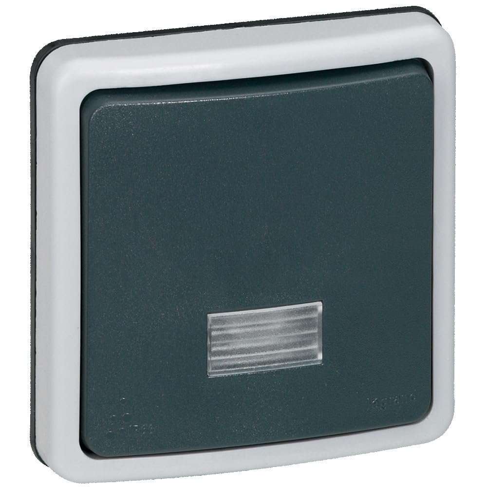 Legrand, Deviatore per switch a 2 vie con indicatore 10 A, per 66 componibile IP66, Grigio (grau)
