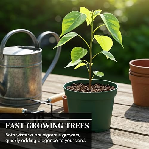 Miniatura 10 de Semillas de vid para plantar cultiva enredaderas increíbles para paisajismo, paredes o cercas (enredadera de trompeta naranja)