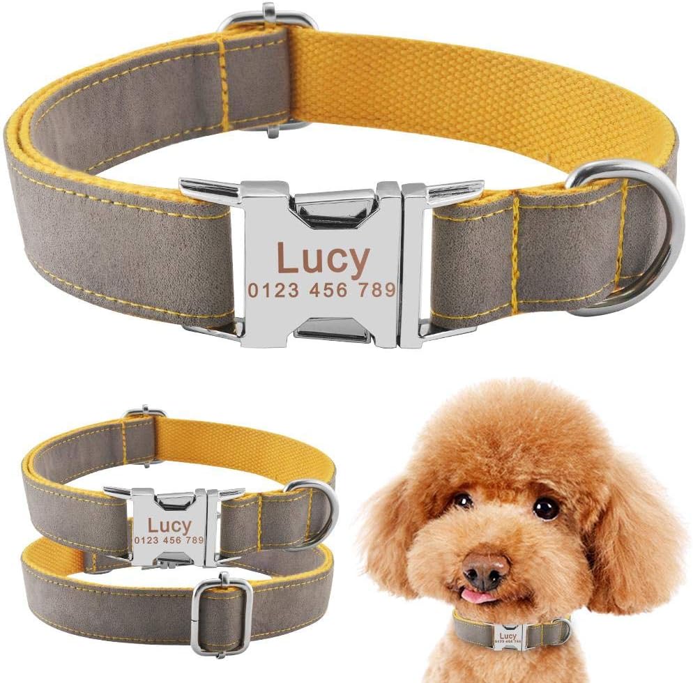 Dog collar for tags only Clearance