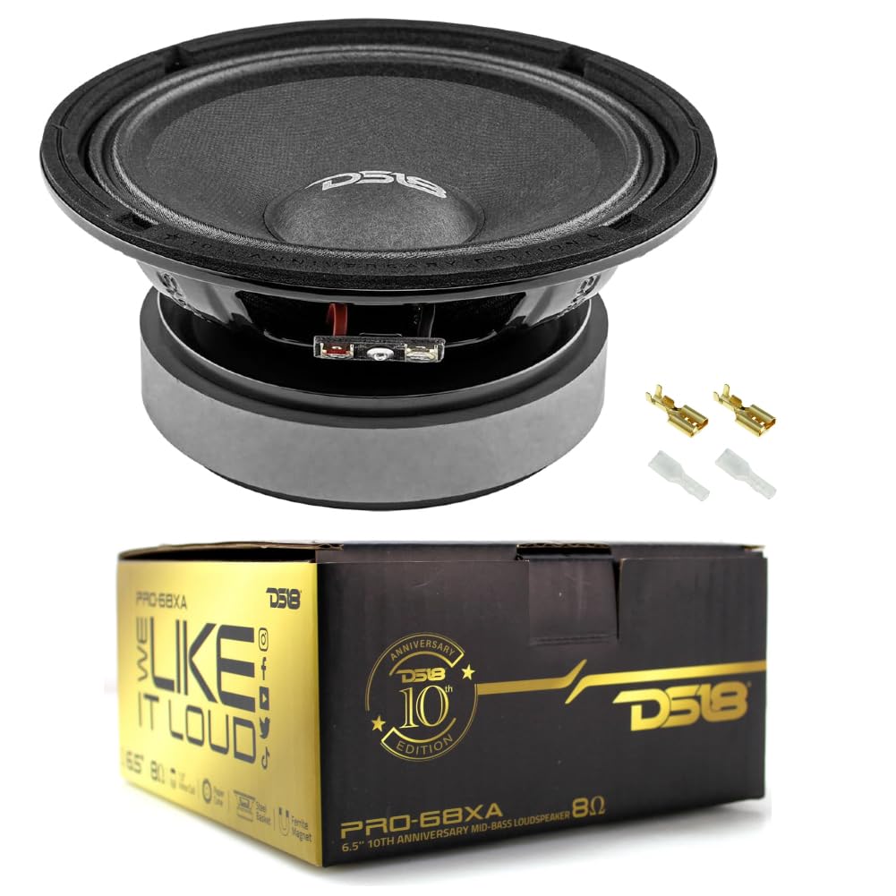 Set pour DS 18 PRO-68XA 1 Enceinte médium Grave, édition 10ème Anniversaire, 16,5 cm 165 mm 6.5", 250 Watt rms 500 Watt Max, 8 ohm, 96 DB, pour la Maison, 1 pièce + Montage faston