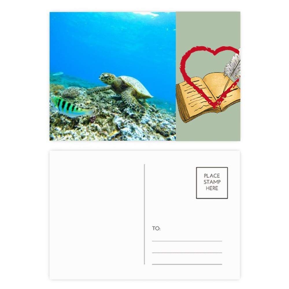 Ocean Sea Turtle Fish Science Nature Picture Diary Day Lot de 20 cartes postales de remerciement