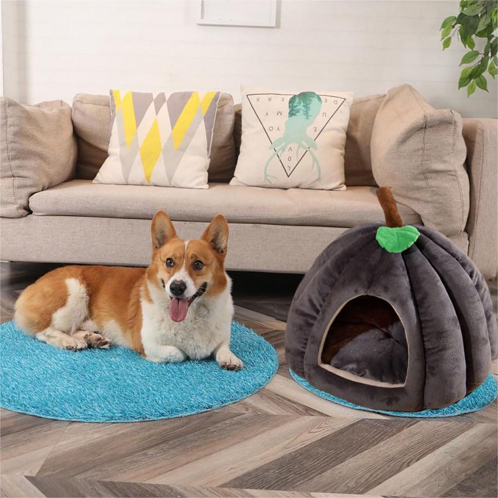 review Pumpkin Cat Bed, Cat Beds for Indoor Cats, Cute Pumpkin Style Cat Cave Bed Cat House Tent for Cats Dogs (Orange, L)