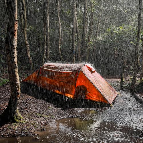 Image of Night Cat Ultralight Tunnel Tent: Waterproof Lightweight Two People Backpacking Tent for Outdoor Camping Hiking Treeking with Double Layers Aluminum Poles and Footprint
