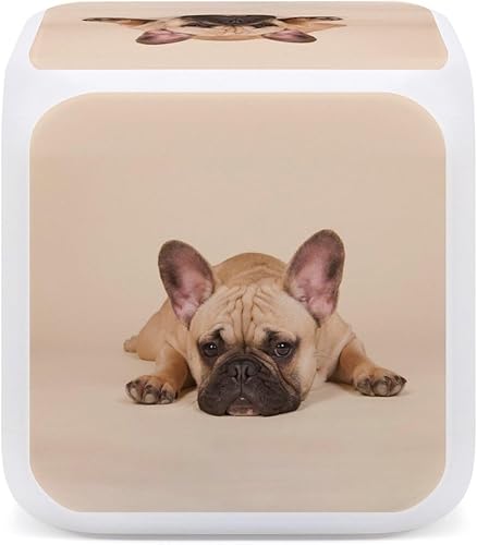 Miniatura 3 de Lindo Bulldog francés que cambia de color LED Digital despertador reloj de noche para oficina en casa