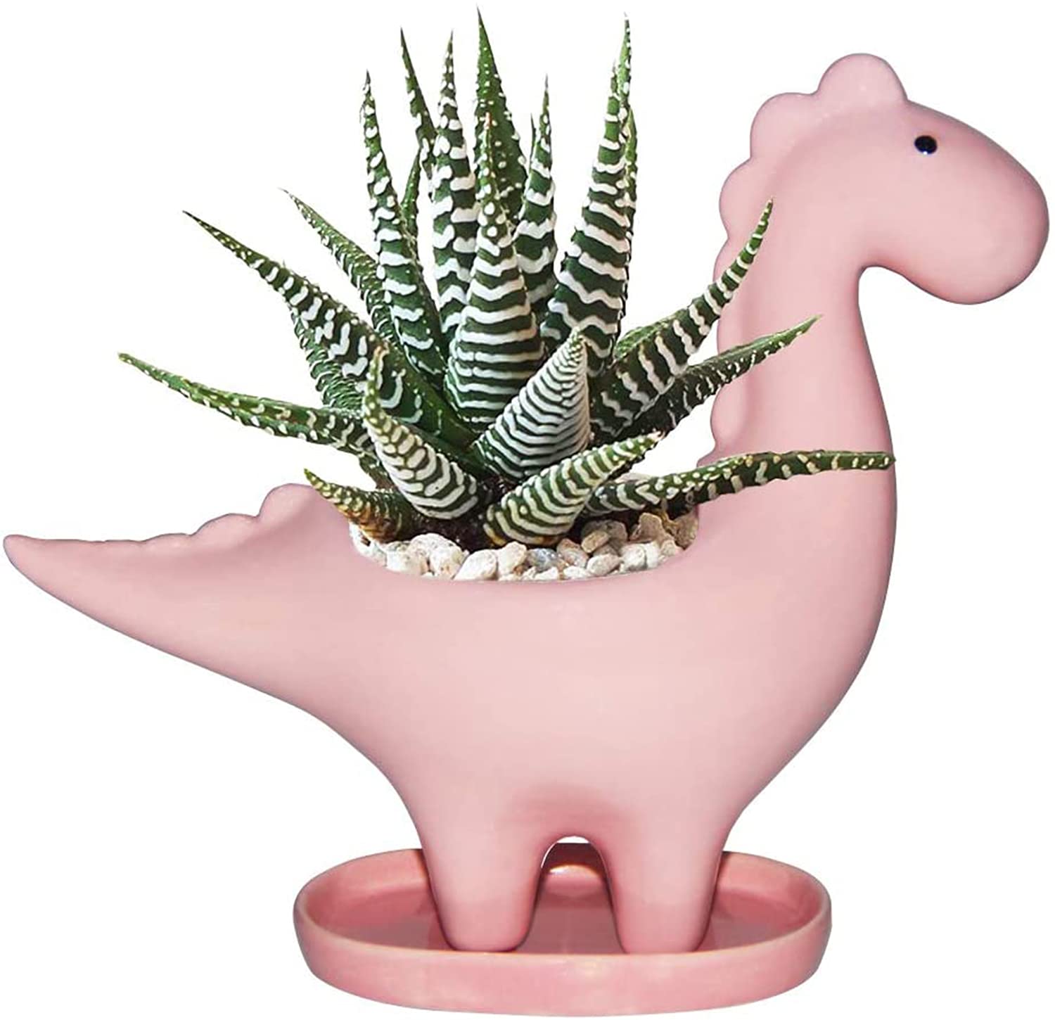 KASTWAVE Succulent Planter Pot Dinosaur Shape Ceramic Planter Pot with Drainage Tray Multipurpose Bonsai Plant Vase Creative Cactus Flower Pot with Drain Hole - Home Office Garden Decoration