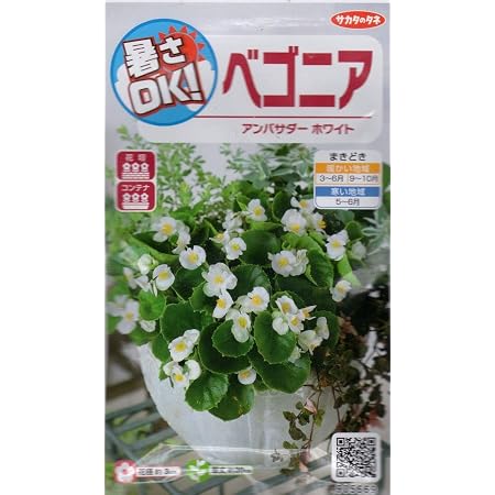 Amazon 種子 ベゴニア アンバサダースカーレット サカタのタネ 花