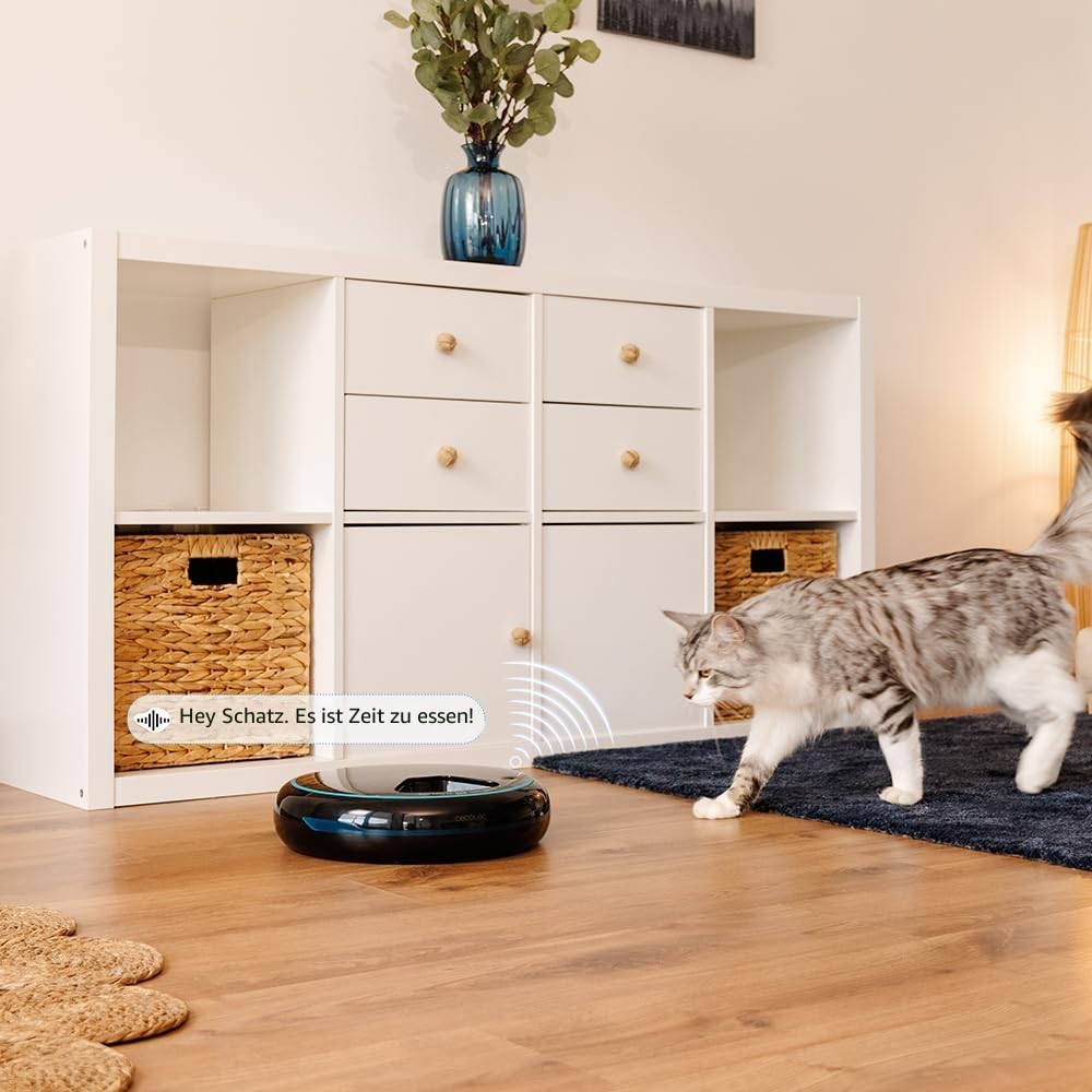 Cecotec Automatischer Futterautomat für Haustiere Pumba 1600 Purrfect Meal. Fassungsvermögen 1,6 l, 4 unabhängige Abschnitte, LED-Anzeige, Timer und Sprachrekorder