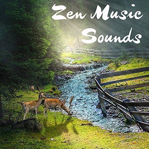 14 Zen Music Sounds Rain and Waves Zen Music Garden, White Noise Research