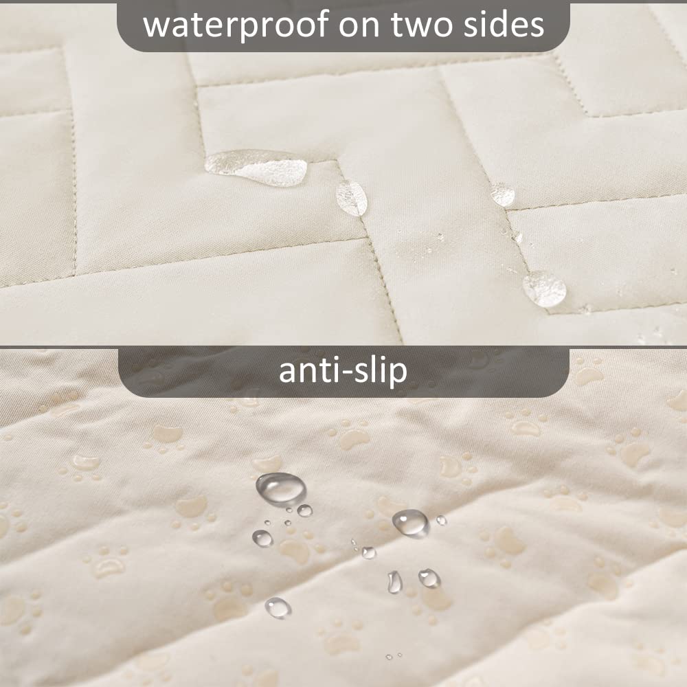https://m.media-amazon.com/images/I/61acFApmdcL.jpg