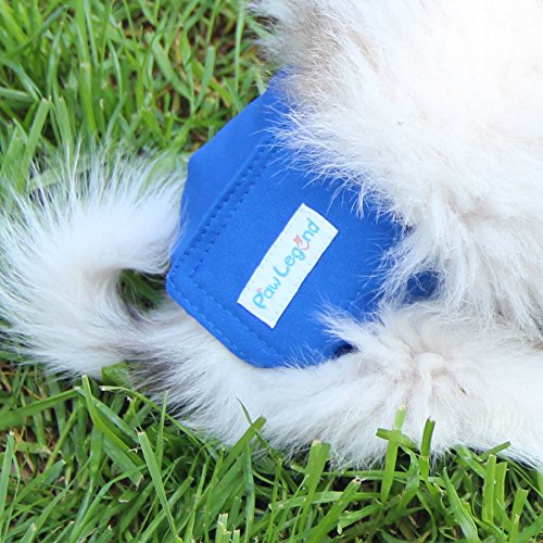 Image of Paw Legend Washable Dog Belly Band Wrap Diapers for Male Dog | High Absorbing Puppy & Doggy Diapers Male (3 Pack,Blue,Aqua,Black,XX-Large)