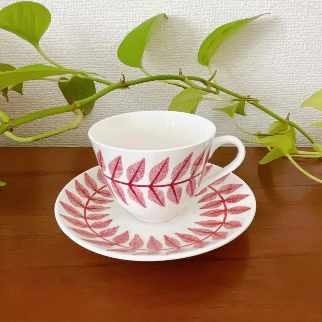 Amazon.co.jp: グスタフスベリ｜ビンテージMaxim 赤 カップ＆ソーサー 