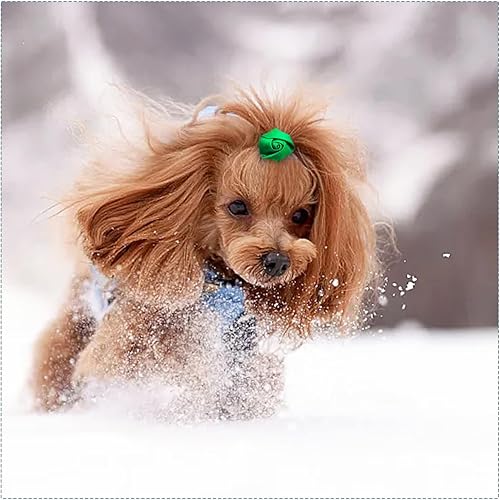 Miniatura 7 de 30 unidades15 pares de lazos para el pelo de perros pequeños con bandas de goma de 0.98 pulgadas, lindas mini rosas para cachorros, gatitos, gatos,