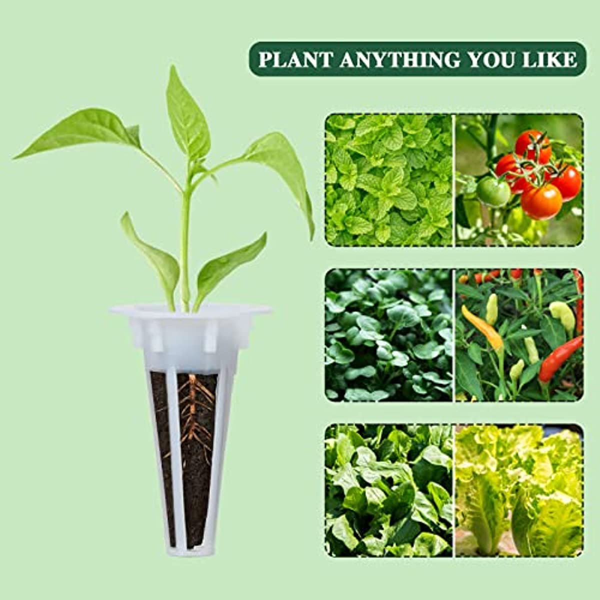 JIAWEIIY Groeiende sponzen Zaad Starter Pods Vervanging Geplant Spons Blok voor Hydrocultuur Systeem (50 stuks