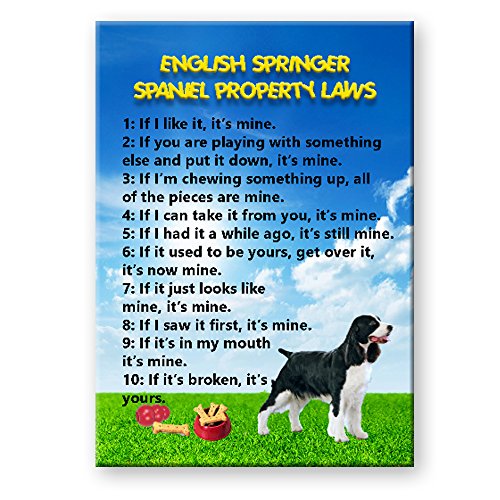 English Springer Spaniel Property Laws Fridge Magnet No 1