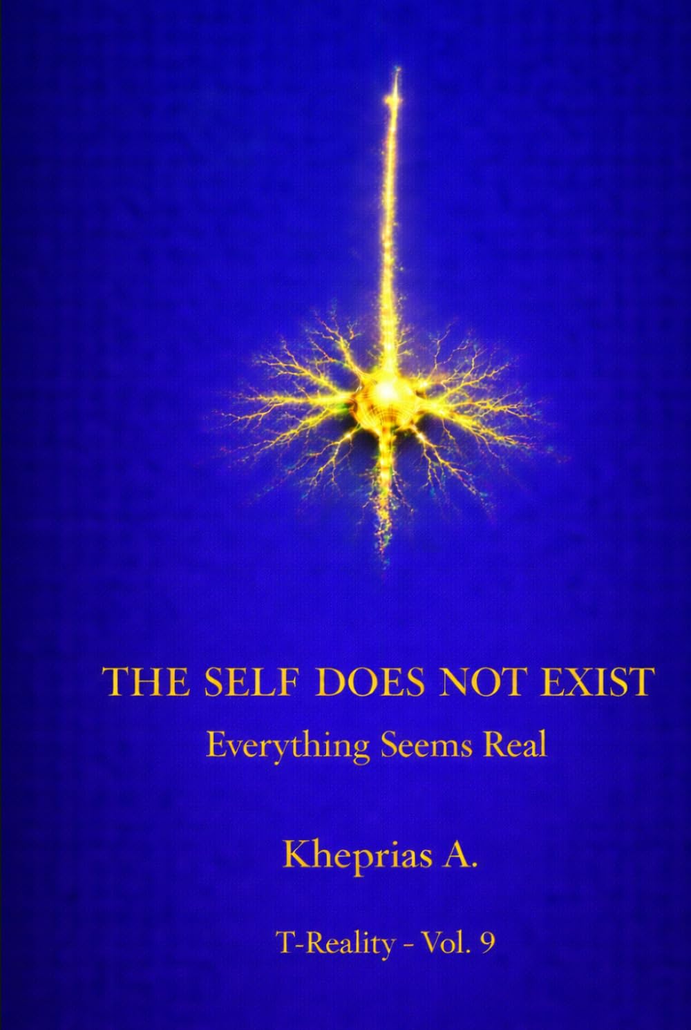 Cognitive Transparency: Why the Self Appears Real (Series: T-Reality – Philosophy of Mind and Neurophilosophy)