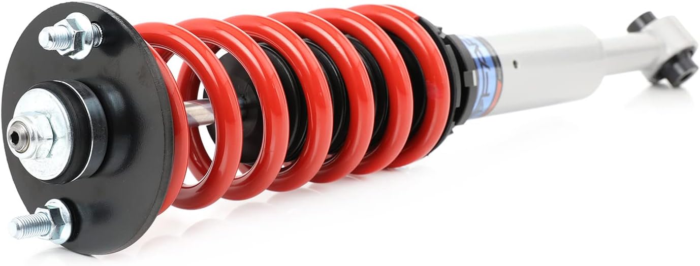 FAPO Coilover for Honda Accord 1998-2002, for Acura CL 2001-2003, for Acura TL 1999-2003 Adjustable Height Suspension Strut Lowering Kit, Mono-Tube Shock