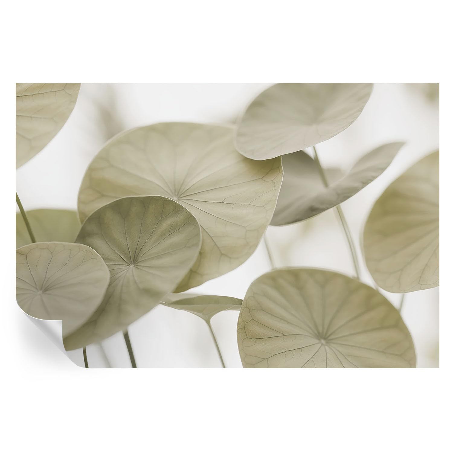 Murales de pared autoadhesivos de 104x70 cm con estampados lavables de elegancia natural para salón