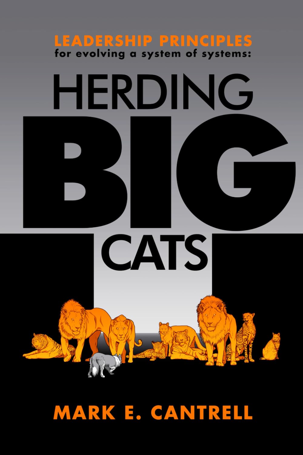 Herding BIG Cats: Leadership Principles for Evolving a Systems of Systems