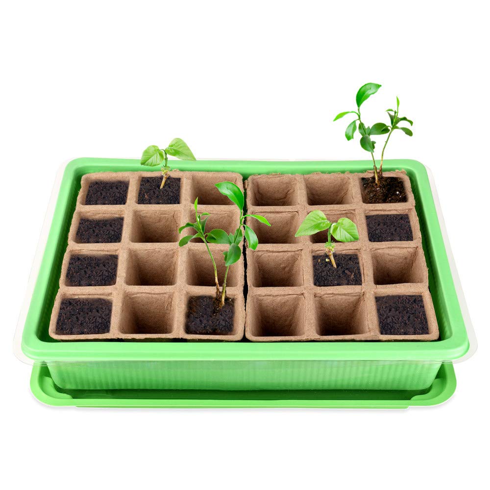 Schramm® 2 Stück Anzucht Set Gewächshaus Anzucht Schale Töpfe Zimmergewächshaus 27 x 19 x 11 cm für 48 Anzuchttöpfe Anzuchtset Mini-Gewächshaus