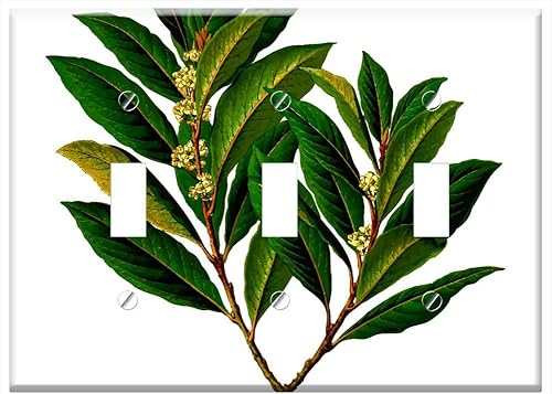 Interruptor de la placa triple de la palanca - rama comestible de la bahía de la comida de Evergreen a base de hierbas