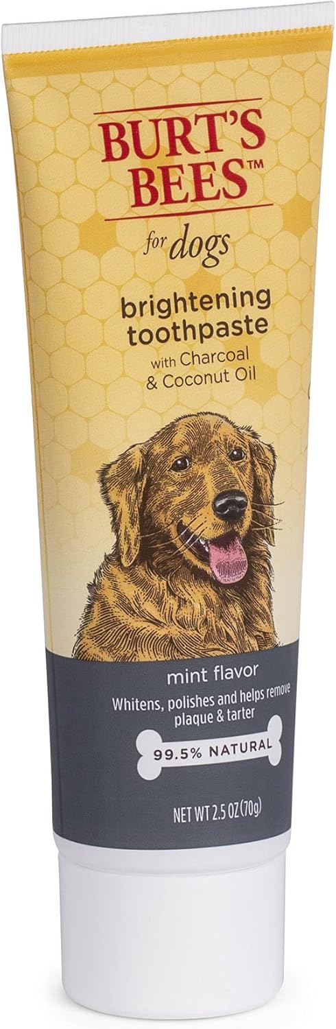 Burt's Bees for Dogs Charcoal & Coconut Oil Brightening Toothpaste for Dogs with Charcoal & Coconut Oil | 99.5% Natural Dog Toothpaste in Mint Flavor | Dog Oral Care Dog Toothpaste, 2.5 Oz : Everything Else