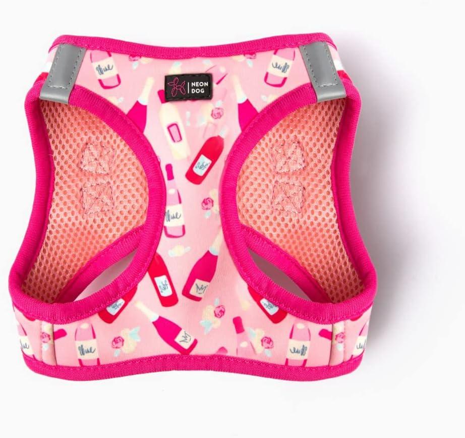 Neon Dog Neoprene Padded Mesh Step-in Vest Harness for Small Medium Dogs (M Bundle (3pc), Sicilia Blue)