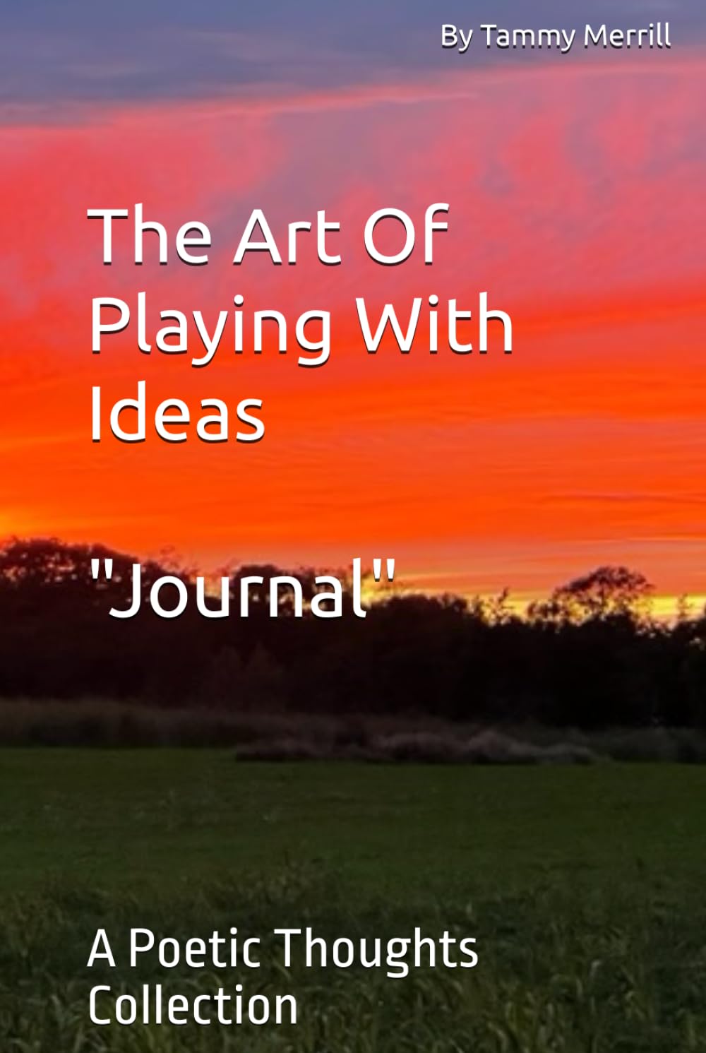 The Art Of Playing With Ideas: A Poetic Thoughts Collection
