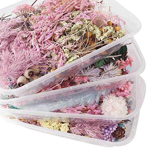 4 cajas flores secas mezcla real para manualidades miniatura 2