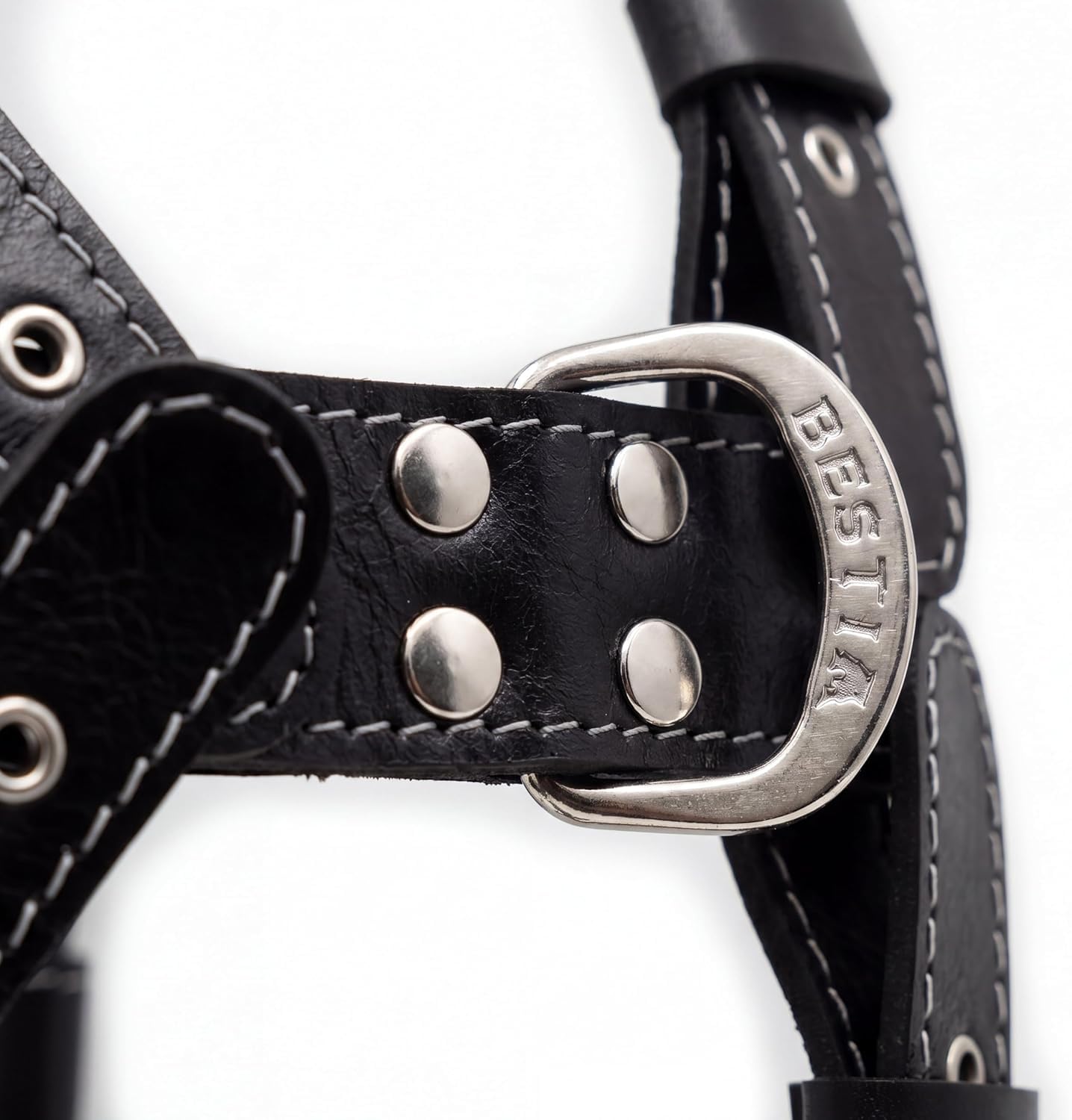 Bestia Eros'' Collar de Perro de Cuero Genuino Medio. Razas de Grandes tamaños. 100% Cuero. Clouté.rembourré. Hecho a Mano en Europa