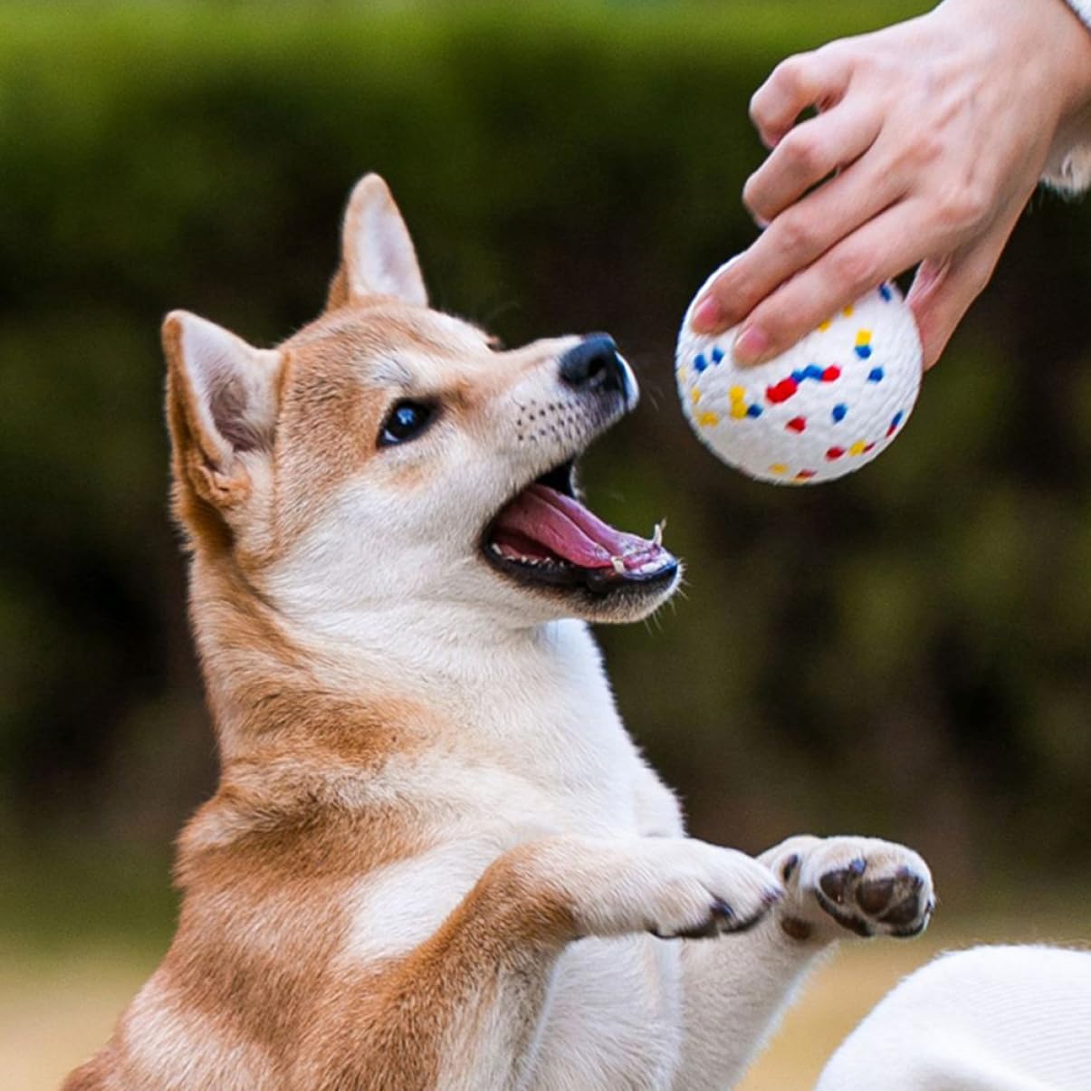 Mipcase 6 Uds Pelota Hinchable Juguetes para Mascotas Juguetes para Perros Pequeños Juguetes para Perros Ejercicio para Mascotas Masticador Juguetes para La Dentición para Cachorros