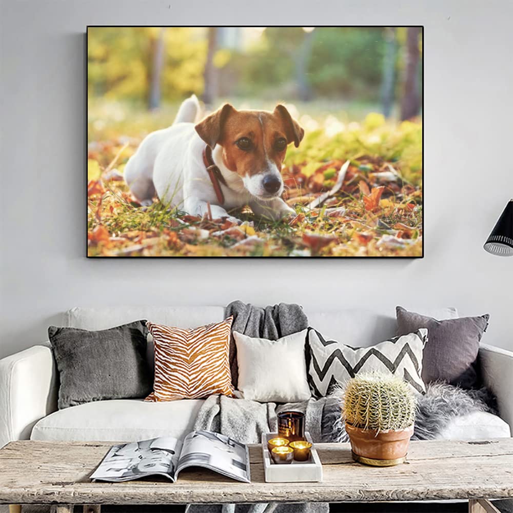 Kit Point De Croix Chien Jack Russell - 11CT - Toile Pré-imprimée 40x50cm - DIY Adulte - Décoration Maison