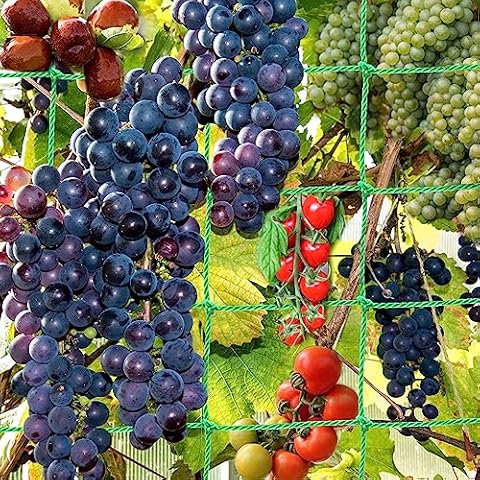 Plant Trellis Netting for Climbing Plants Outdoor Heavy-Duty Growing Net Garden Trellis Netting for Vine Plants, Fruits, and Flowers, Vegetables Trellis Netting Plant Climbing Plant Support(5.9x8.8FT) Cover