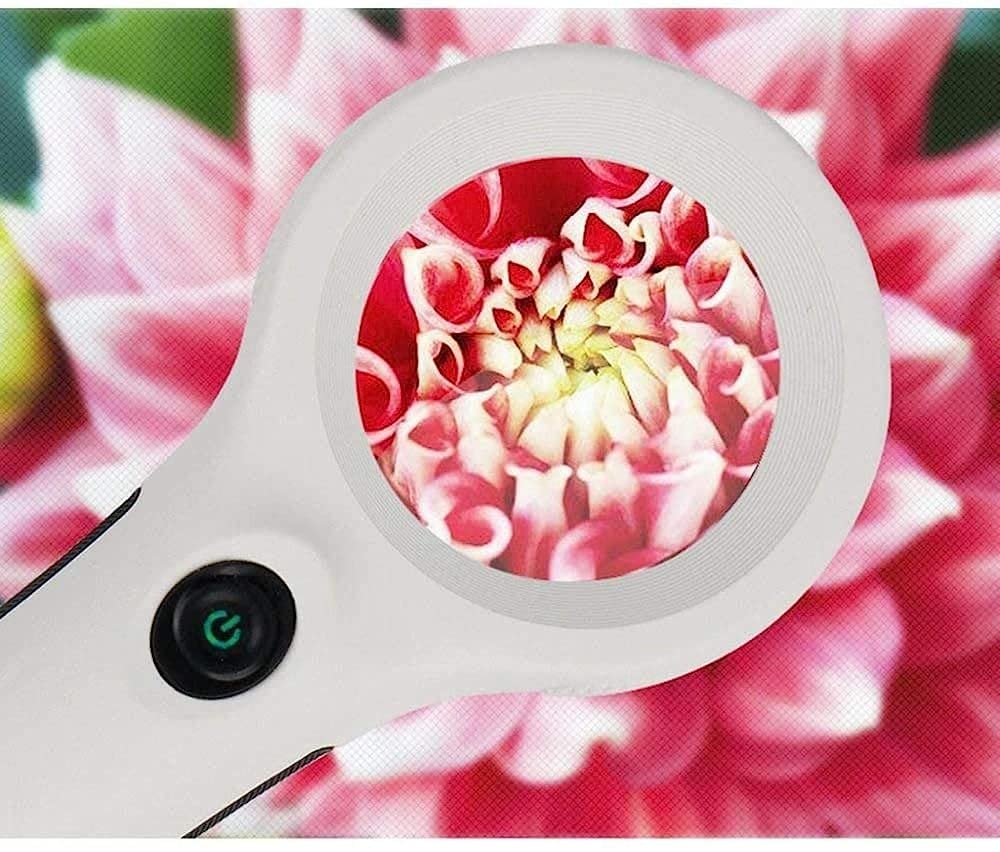 Lupas, lupas LED con Lentes HD 4X, 3X y 8X para Lectura, Manualidades y Reparaciones, / Blanco / 2.5*