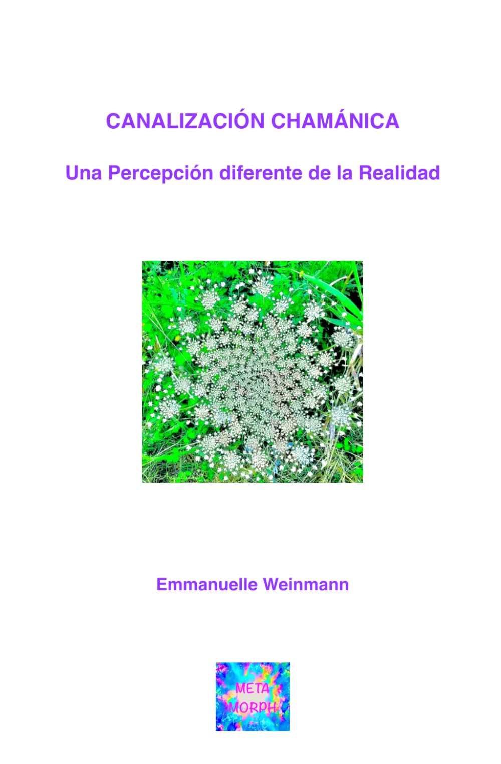 CANALIZACIÓN CHAMÁNICA: Una Percepción diferente de la Realidad