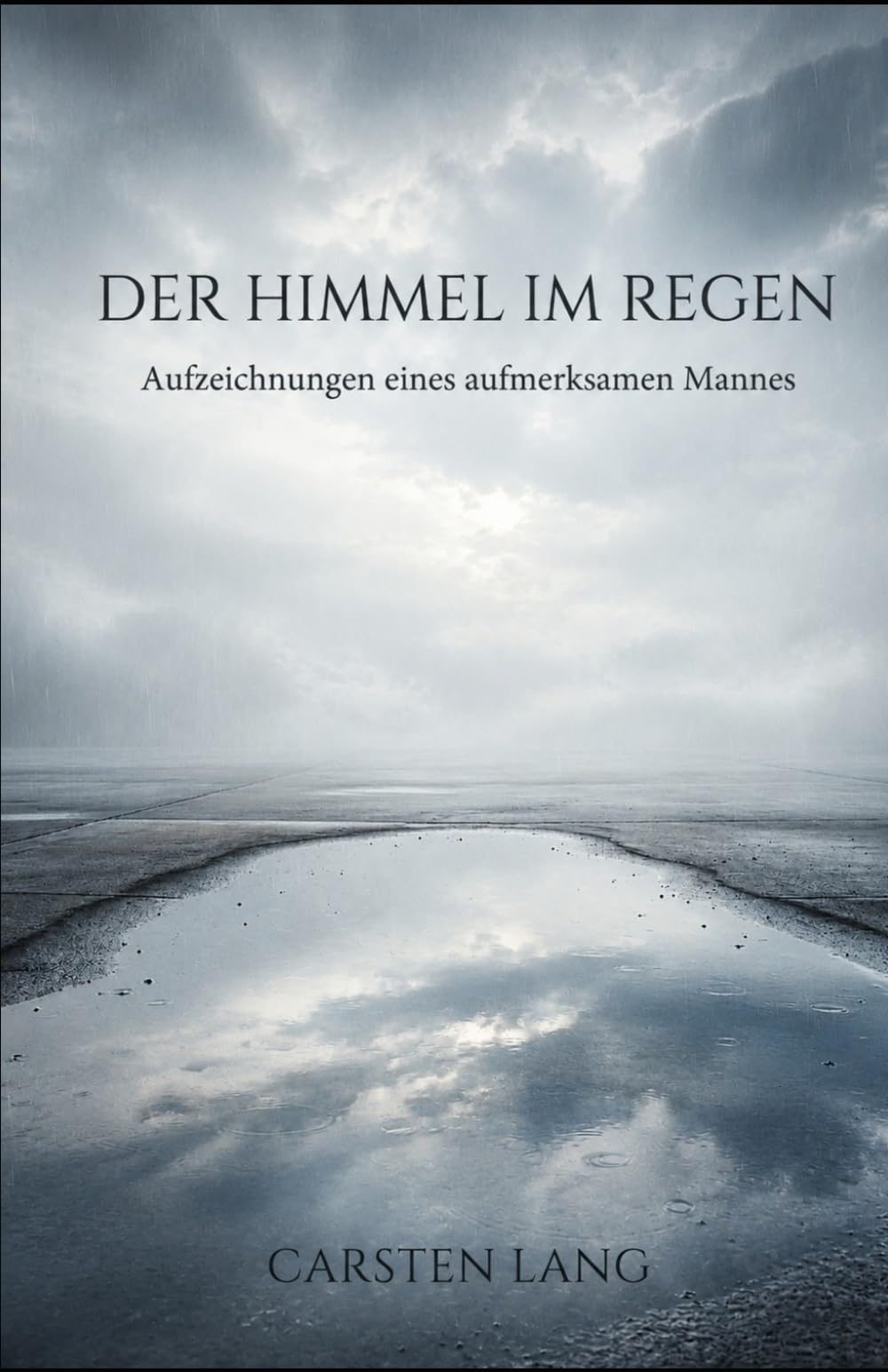 Der Himmel im Regen: Aufzeichnungen eines aufmerksamen Mannes