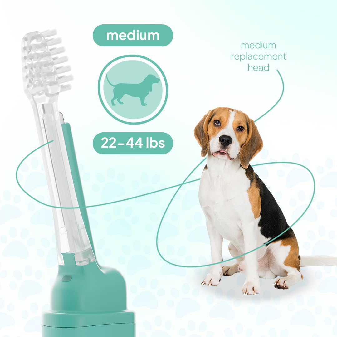 Cepillo de dientes para perro, mediano, tecnología electrolítica innovadora, mejora la salud bucal y el mal aliento, sin vibraciones y cepillo de limpieza silencioso de dientes, no necesita