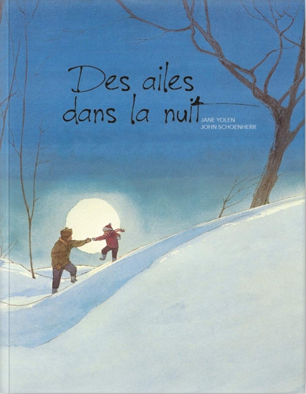 Des ailes dans la nuit