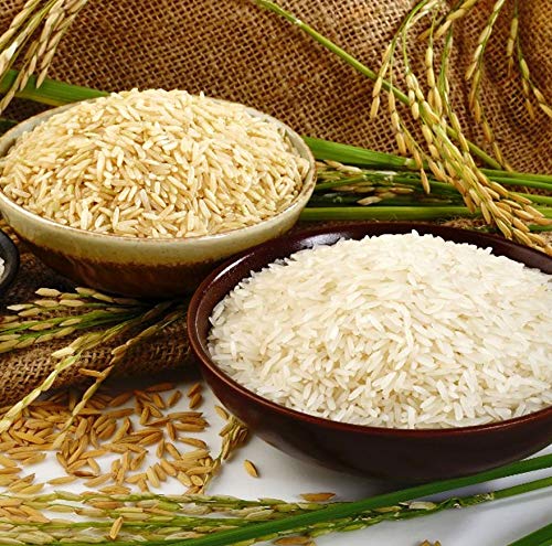 OLD IS GOLD Kodo Millet Rice - Varagu Rice (Unpolished Rice),500 Grams ...
