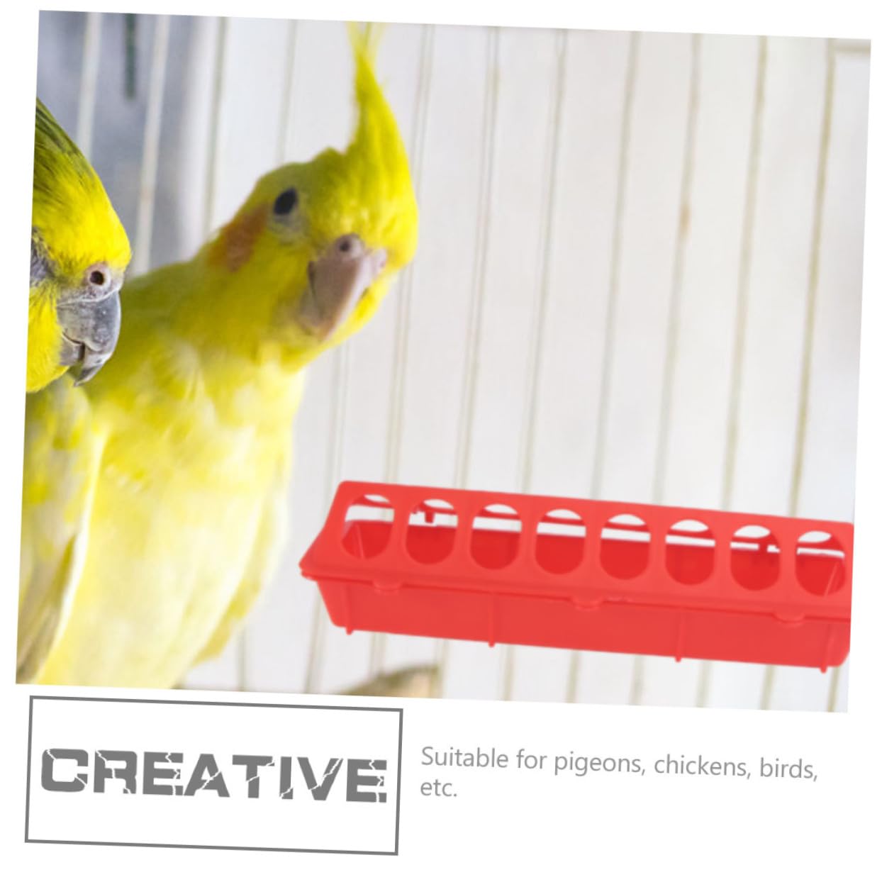 4 pièces Mangeoire pour Pigeons Capacité Large Alimentation Pratique pour Petits Oiseaux et Poulets pour Élevage Domestique